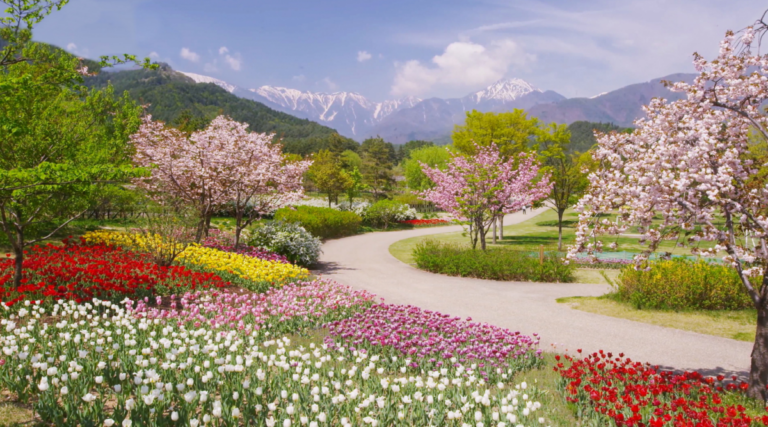 30 Beautiful Spring Decor Ideas to Refresh Your Home