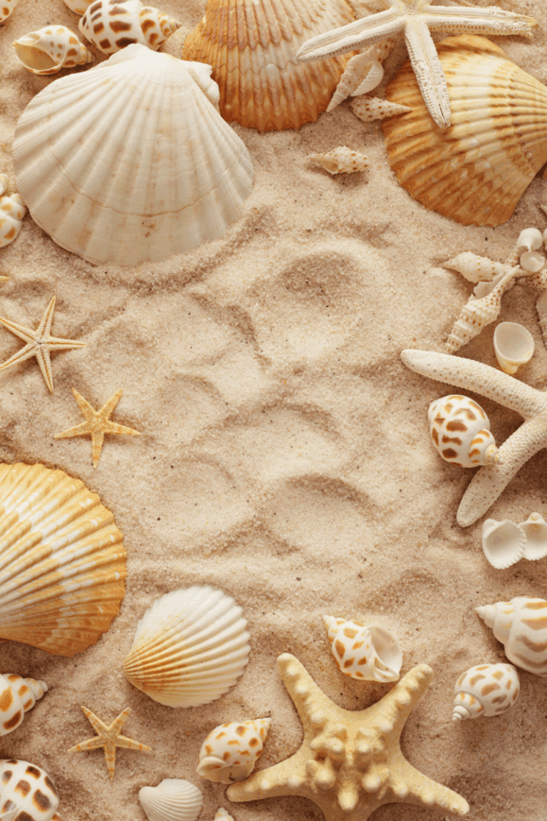 Stunning Summer Phone Wallpapers